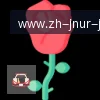 jn江南体育 logo