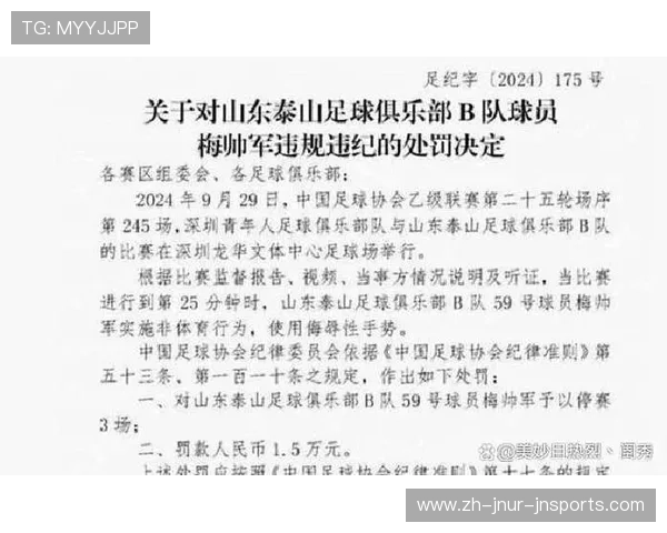 足球裁判员的判罚标准与比赛影响